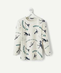 T-shirt gris garçon avec motifs dinosaures et message - 14 A