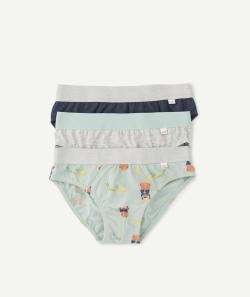 Lot de 3 slips garçon en coton bio imprimé animalier et unis - 10 A