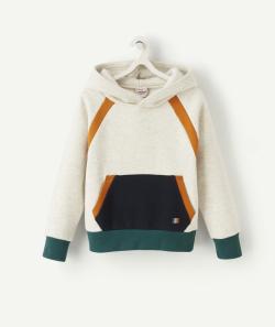 Sweat à capuche colorblock garçon - 14 A