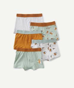 Lot de 5 boxers garçon en coton bio gris et vert avec animaux - 3 A