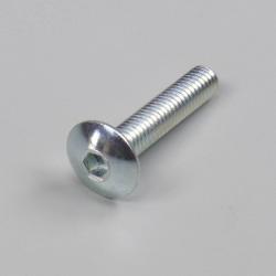Vis 6x30 mm tête BTR bombée large (à l'unité)