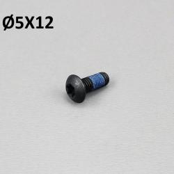 Vis 5x12 mm tête torx (à l'unité)