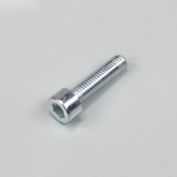 Vis 6x25 mm tête BTR (à l'unité)