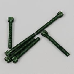 Vis 6x50 mm tête BTR Puig vertes (lot de 6)