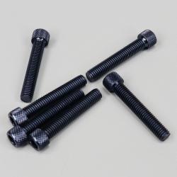Vis 8x45 mm tête BTR Puig noires (lot de 6)
