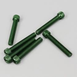 Vis 8x50 mm tête BTR Puig vertes (lot de 6)