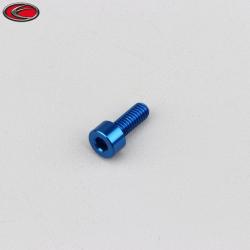 Vis 4x10 mm tête BTR Evotech bleue (à l'unité)
