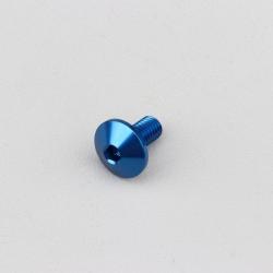 Vis 5x10 mm tête BTR bombée Evotech bleue (à l'unité)