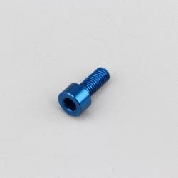 Vis 5x12 mm tête BTR Evotech bleue (à l'unité)