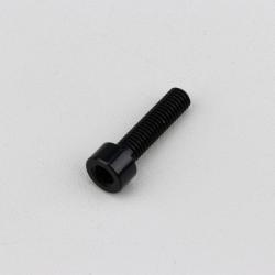 Vis 5x20 mm tête BTR Evotech noire (à l'unité)