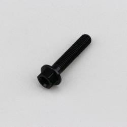 Vis 5x25 mm tête hexagonale Evotech noire (à l'unité)
