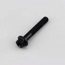 Vis 5x30 mm tête hexagonale embase Evotech noire (à l'unité)