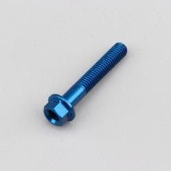 Vis 5x30 mm tête hexagonale embase Evotech bleue (à l'unité)