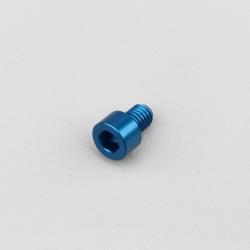 Vis 6x8 mm tête BTR Evotech bleue (à l'unité)
