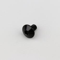 Vis 6x10 mm tête BTR bombée Evotech noire (à l'unité)