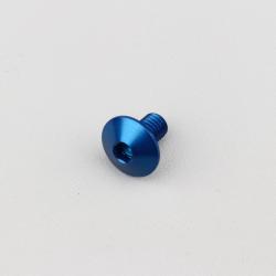 Vis 6x10 mm tête BTR bombée Evotech bleue (à l'unité)