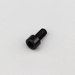 Vis 6x10 mm tête BTR Evotech noire (à l'unité)