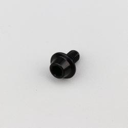 Vis 6x10 mm tête BTR bombée embase Evotech noire (à l'unité)