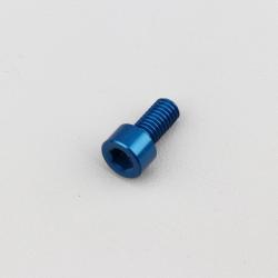 Vis 6x12 mm tête BTR Evotech bleue (à l'unité)