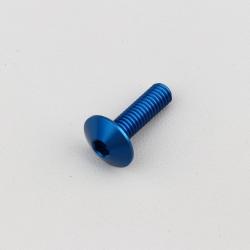 Vis 6x20 mm tête BTR bombée Evotech bleue (à l'unité)