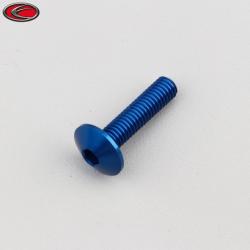 Vis 6x25 mm tête BTR bombée Evotech bleue (à l'unité)