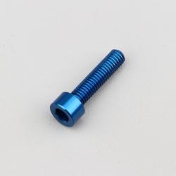 Vis 6x25 mm tête BTR Evotech bleue (à l'unité)
