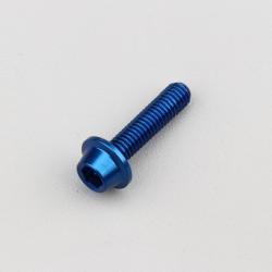 Vis 6x25 mm tête BTR bombée embase Evotech bleue (à l'unité)