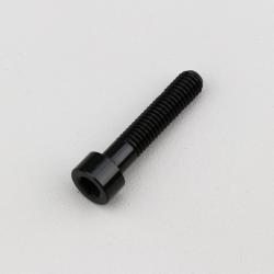 Vis 6x30 mm tête BTR Evotech noire (à l'unité)