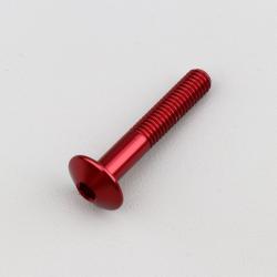 Vis 6x35 mm tête BTR bombée Evotech rouge (à l'unité)
