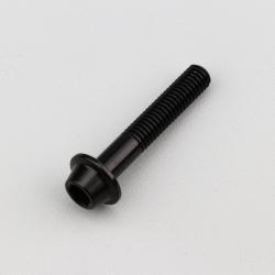Vis 6x35 mm tête BTR bombée embase Evotech noire (à l'unité)