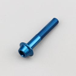 Vis 6x35 mm tête BTR bombée embase Evotech bleue (à l'unité)