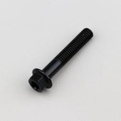 Vis 6x35 mm tête hexagonale embase Evotech noire (à l'unité)