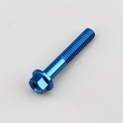 Vis 6x35 mm tête hexagonale embase Evotech bleue (à l'unité)