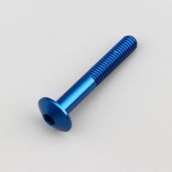 Vis 6x40 mm tête BTR bombée Evotech bleue (à l'unité)
