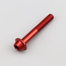 Vis 6x40 mm tête BTR bombée embase Evotech rouge (à l'unité)