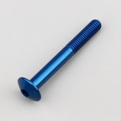 Vis 6x50 mm tête BTR bombée Evotech bleue (à l'unité)