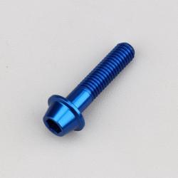 Vis 8x35 mm tête BTR bombée embase Evotech bleue (à l'unité)
