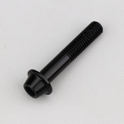 Vis 8x45 mm tête BTR bombée embase Evotech noire (à l'unité)