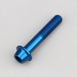 Vis 8x45 mm tête BTR bombée embase Evotech bleue (à l'unité)