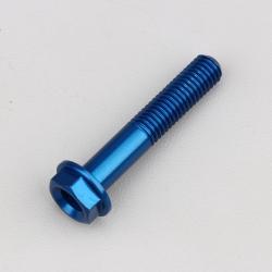 Vis 8x45 mm tête hexagonale embase Evotech bleue (à l'unité)
