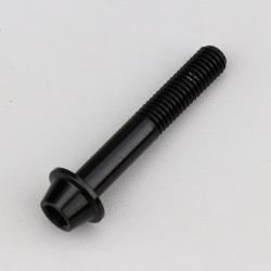 Vis 8x50 mm tête BTR bombée embase Evotech noire (à l'unité)