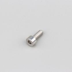 Vis 4x10 mm tête BTR Evotech grise (à l'unité)