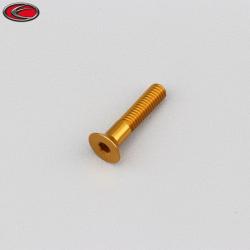 Vis 4x20 mm tête BTR fraisée Evotech dorée (à l'unité)