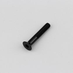 Vis 4x25 mm tête BTR fraisée Evotech noire (à l'unité)