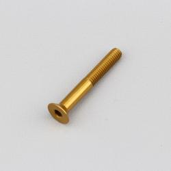 Vis 4x30 mm tête BTR fraisée Evotech dorée (à l'unité)