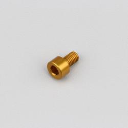 Vis 5x8 mm tête BTR Evotech dorée (à l'unité)
