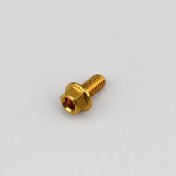 Vis 5x10 mm tête hexagonale embase Evotech dorée (à l'unité)