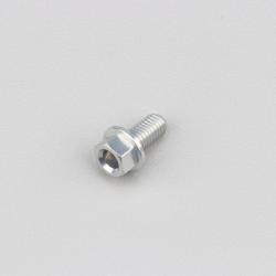 Vis 5x10 mm tête hexagonale embase Evotech grise (à l'unité)