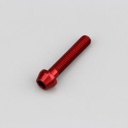 Vis 5x25 mm tête BTR conique Evotech rouge (à l'unité)
