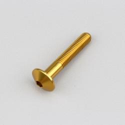 Vis 5x30 mm tête BTR bombée Evotech dorée (à l'unité)
